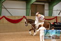 Filename=PT9_3600.JPG
Filesize=386KiB
Dimensions=1224x817
Date added=Oct 03, 2022 PT9_3600.JPG