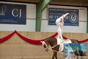 Filename=PT9_3601.JPG
Filesize=354KiB
Dimensions=1224x817
Date added=Oct 03, 2022 PT9_3601.JPG