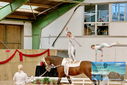 Filename=PT9_3607.JPG
Filesize=884KiB
Dimensions=1224x817
Date added=Oct 03, 2022 PT9_3607.JPG