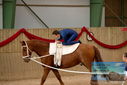 Filename=PT9_3615.JPG
Filesize=344KiB
Dimensions=1224x817
Date added=Oct 03, 2022 PT9_3615.JPG