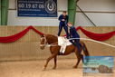 Filename=PT9_3625.JPG
Filesize=420KiB
Dimensions=1224x817
Date added=Oct 03, 2022 PT9_3625.JPG