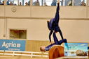Filename=PT9_3643.JPG
Filesize=724KiB
Dimensions=1224x817
Date added=Oct 03, 2022 PT9_3643.JPG
