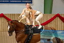 Filename=PT9_3676.JPG
Filesize=475KiB
Dimensions=855x577
Date added=Oct 03, 2022 PT9_3676.JPG
