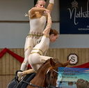 Filename=PT9_3679.JPG
Filesize=489KiB
Dimensions=771x760
Date added=Oct 03, 2022 PT9_3679.JPG