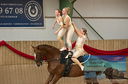 Filename=PT9_3687.JPG
Filesize=593KiB
Dimensions=994x654
Date added=Oct 03, 2022 PT9_3687.JPG