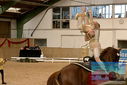 Filename=PT9_3705.JPG
Filesize=749KiB
Dimensions=1224x817
Date added=Oct 03, 2022 PT9_3705.JPG