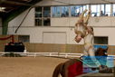 Filename=PT9_3706.JPG
Filesize=329KiB
Dimensions=1224x817
Date added=Oct 03, 2022 PT9_3706.JPG