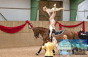 Filename=PT9_3707.JPG
Filesize=653KiB
Dimensions=1027x673
Date added=Oct 03, 2022 PT9_3707.JPG
