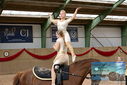 Filename=PT9_3710.JPG
Filesize=763KiB
Dimensions=1224x817
Date added=Oct 03, 2022 PT9_3710.JPG
