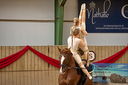Filename=PT9_3718.JPG
Filesize=787KiB
Dimensions=1188x790
Date added=Oct 03, 2022 PT9_3718.JPG