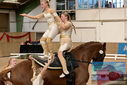 Filename=PT9_3719.JPG
Filesize=730KiB
Dimensions=1224x817
Date added=Oct 03, 2022 PT9_3719.JPG