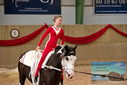 Filename=PT9_3725.JPG
Filesize=682KiB
Dimensions=1224x817
Date added=Oct 03, 2022 PT9_3725.JPG