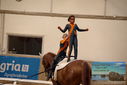 Filename=PT9_3984.JPG
Filesize=273KiB
Dimensions=1224x817
Date added=Oct 03, 2022 PT9_3984.JPG
