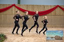Filename=PT9_3989.JPG
Filesize=918KiB
Dimensions=1224x817
Date added=Oct 03, 2022 PT9_3989.JPG