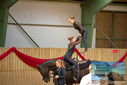 Filename=PT9_3997.JPG
Filesize=322KiB
Dimensions=1224x817
Date added=Oct 03, 2022 PT9_3997.JPG