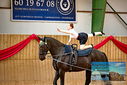 Filename=PT9_4126.JPG
Filesize=976KiB
Dimensions=1224x817
Date added=Oct 03, 2022 PT9_4126.JPG
