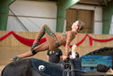 Filename=PT9_4139.JPG
Filesize=314KiB
Dimensions=1224x817
Date added=Oct 03, 2022 PT9_4139.JPG