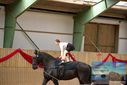 Filename=PT9_4147.JPG
Filesize=351KiB
Dimensions=1224x817
Date added=Oct 03, 2022 PT9_4147.JPG