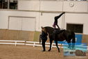 Filename=PT9_4162.JPG
Filesize=349KiB
Dimensions=1224x817
Date added=Oct 03, 2022 PT9_4162.JPG