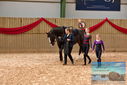 Filename=PT9_4168.JPG
Filesize=458KiB
Dimensions=1224x817
Date added=Oct 03, 2022 PT9_4168.JPG