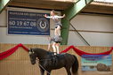 Filename=PT9_4183.JPG
Filesize=374KiB
Dimensions=1224x817
Date added=Oct 03, 2022 PT9_4183.JPG