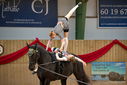 Filename=PT9_4192.JPG
Filesize=344KiB
Dimensions=1224x817
Date added=Oct 03, 2022 PT9_4192.JPG