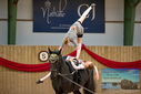 Filename=PT9_4193.JPG
Filesize=338KiB
Dimensions=1224x817
Date added=Oct 03, 2022 PT9_4193.JPG