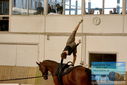 Filename=PT9_4210.JPG
Filesize=657KiB
Dimensions=1224x817
Date added=Oct 03, 2022 PT9_4210.JPG