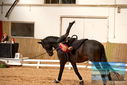 Filename=PT9_4222.JPG
Filesize=357KiB
Dimensions=1224x817
Date added=Oct 03, 2022 PT9_4222.JPG