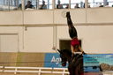 Filename=PT9_4235.JPG
Filesize=712KiB
Dimensions=1166x776
Date added=Oct 03, 2022 PT9_4235.JPG