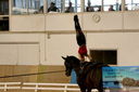 Filename=PT9_4236.JPG
Filesize=723KiB
Dimensions=1166x776
Date added=Oct 03, 2022 PT9_4236.JPG