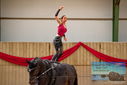Filename=PT9_4238.JPG
Filesize=291KiB
Dimensions=1224x817
Date added=Oct 03, 2022 PT9_4238.JPG