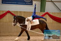 Filename=PT9_4250.JPG
Filesize=387KiB
Dimensions=1224x817
Date added=Oct 03, 2022 PT9_4250.JPG