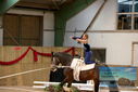 Filename=PT9_4260.JPG
Filesize=323KiB
Dimensions=1224x817
Date added=Oct 03, 2022 PT9_4260.JPG