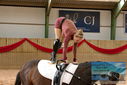Filename=PT9_4269.JPG
Filesize=310KiB
Dimensions=1224x817
Date added=Oct 03, 2022 PT9_4269.JPG