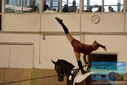 Filename=PT9_4270.JPG
Filesize=303KiB
Dimensions=1224x817
Date added=Oct 03, 2022 PT9_4270.JPG