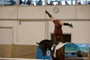 Filename=PT9_4279.JPG
Filesize=286KiB
Dimensions=1224x817
Date added=Oct 03, 2022 PT9_4279.JPG