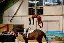 Filename=PT9_4283.JPG
Filesize=804KiB
Dimensions=1224x817
Date added=Oct 03, 2022 PT9_4283.JPG