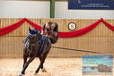 Filename=PT9_4288.JPG
Filesize=370KiB
Dimensions=1224x817
Date added=Oct 03, 2022 PT9_4288.JPG