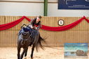 Filename=PT9_4289.JPG
Filesize=376KiB
Dimensions=1224x817
Date added=Oct 03, 2022 PT9_4289.JPG