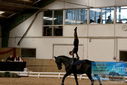 Filename=PT9_4296.JPG
Filesize=345KiB
Dimensions=1224x817
Date added=Oct 03, 2022 PT9_4296.JPG