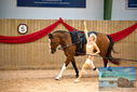 Filename=PT9_4306.JPG
Filesize=387KiB
Dimensions=1224x817
Date added=Oct 03, 2022 PT9_4306.JPG