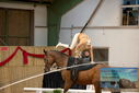 Filename=PT9_4310.JPG
Filesize=302KiB
Dimensions=1224x817
Date added=Oct 03, 2022 PT9_4310.JPG