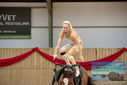 Filename=PT9_4311.JPG
Filesize=260KiB
Dimensions=1224x817
Date added=Oct 03, 2022 PT9_4311.JPG