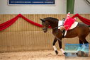 Filename=PT9_4324.JPG
Filesize=376KiB
Dimensions=1224x817
Date added=Oct 03, 2022 PT9_4324.JPG