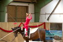 Filename=PT9_4326.JPG
Filesize=325KiB
Dimensions=1224x817
Date added=Oct 03, 2022 PT9_4326.JPG