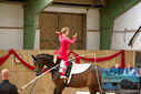 Filename=PT9_4327.JPG
Filesize=322KiB
Dimensions=1224x817
Date added=Oct 03, 2022 PT9_4327.JPG