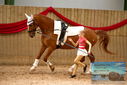 Filename=PT9_4375.JPG
Filesize=424KiB
Dimensions=1224x817
Date added=Oct 03, 2022 PT9_4375.JPG