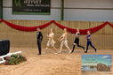 Filename=PT9_4377.JPG
Filesize=425KiB
Dimensions=1224x817
Date added=Oct 03, 2022 PT9_4377.JPG