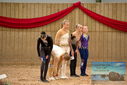 Filename=PT9_4378.JPG
Filesize=410KiB
Dimensions=1224x817
Date added=Oct 03, 2022 PT9_4378.JPG